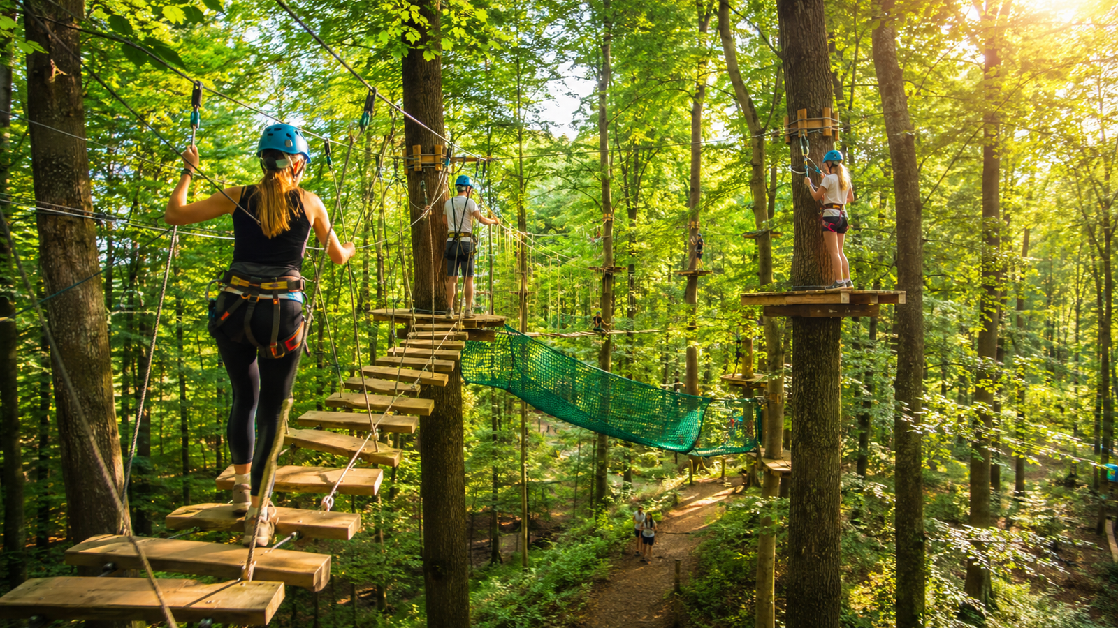 Assurance création parc accrobranche exploitant